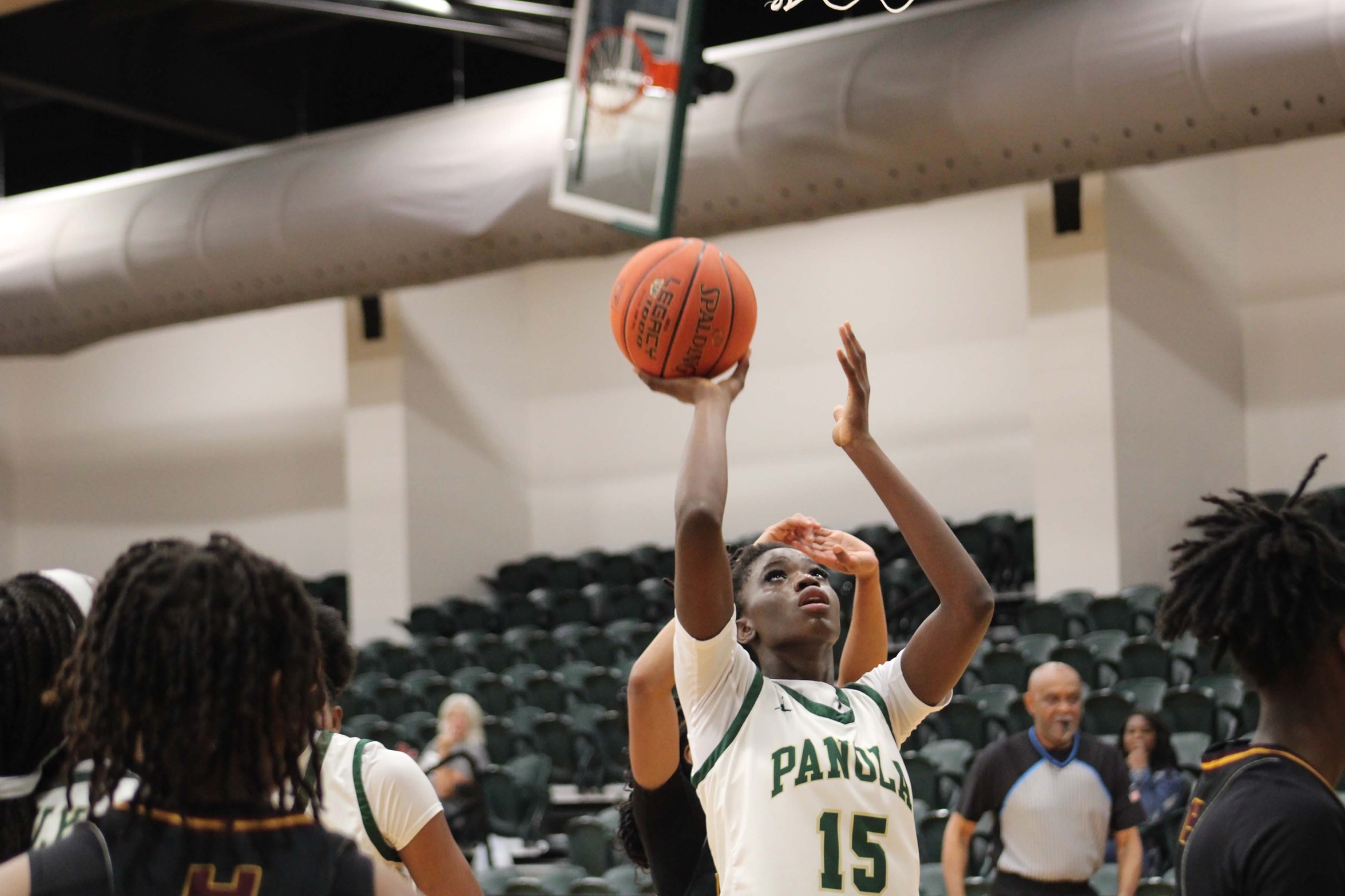 Panola Women&rsquo;s Basketball opened Region XIV